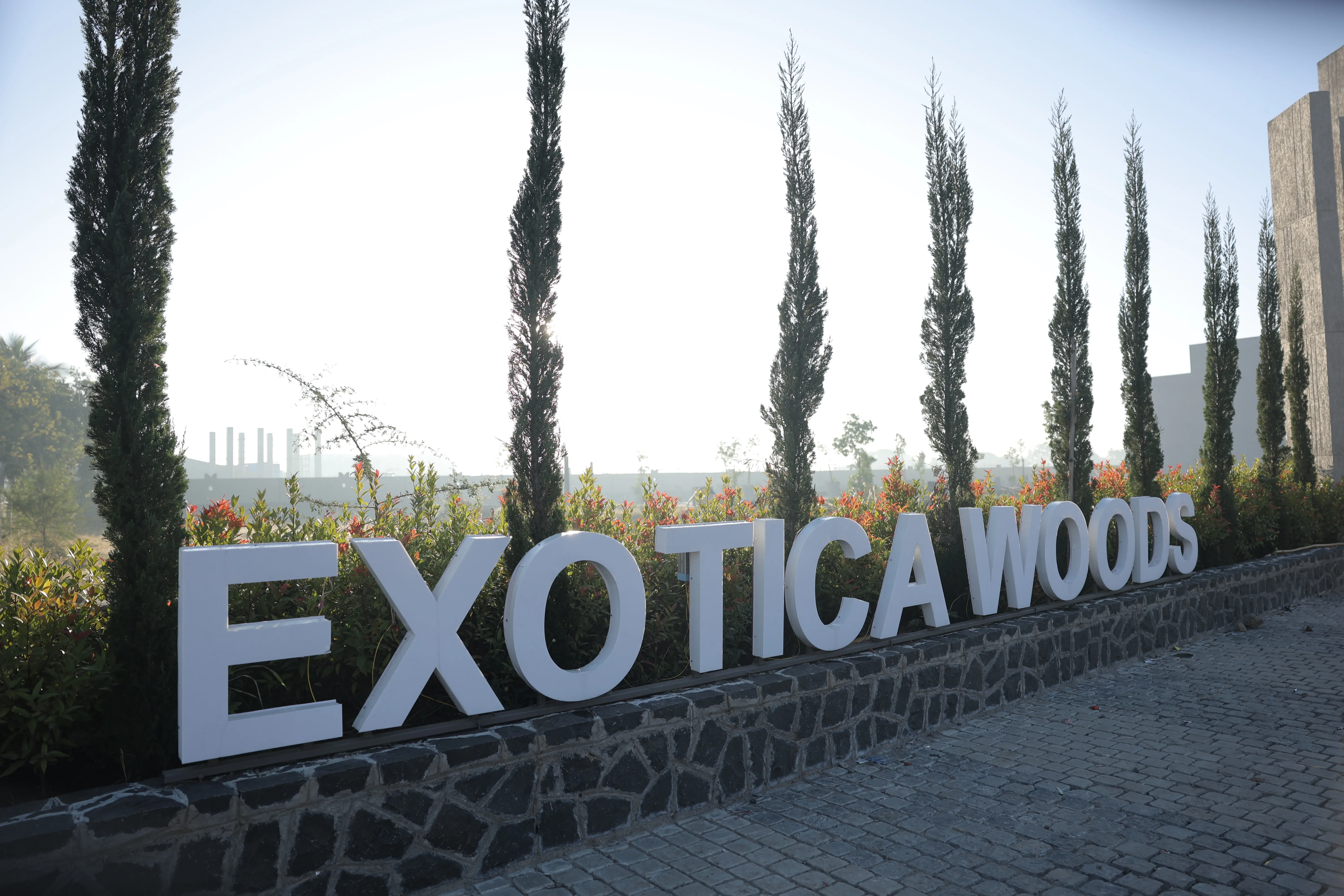 Exotica Woods