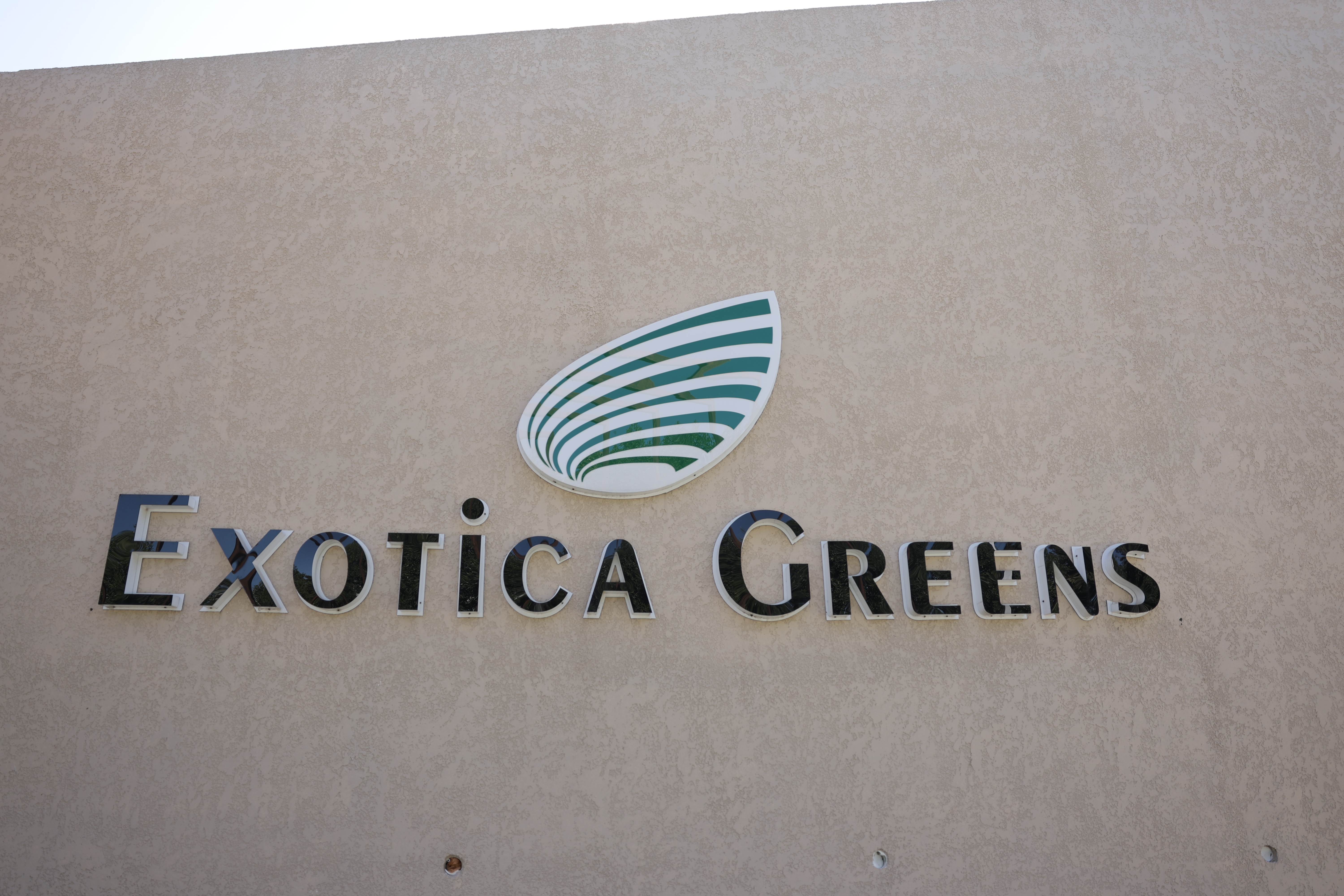 Exotica Greens