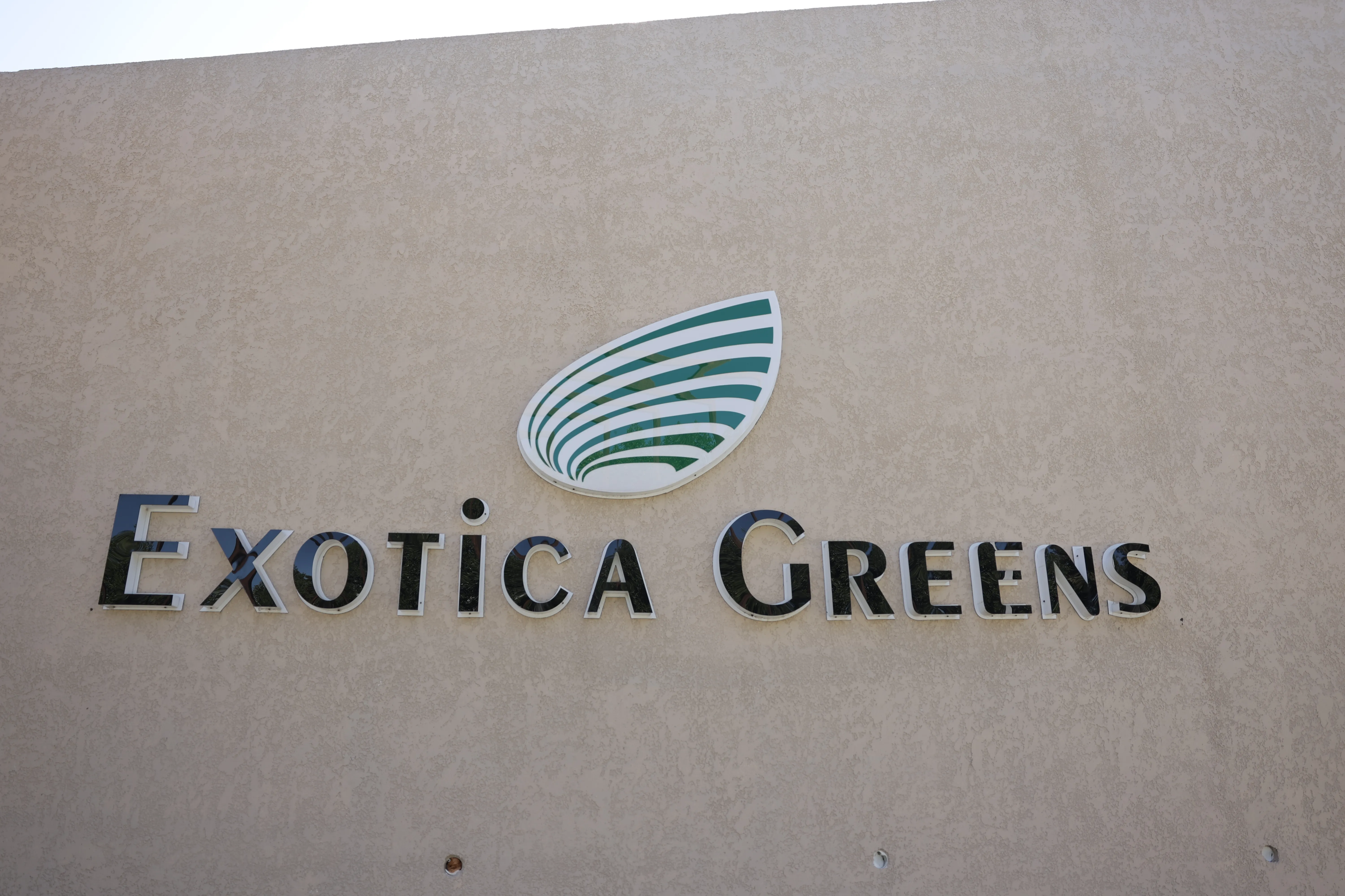 Exotica Greens